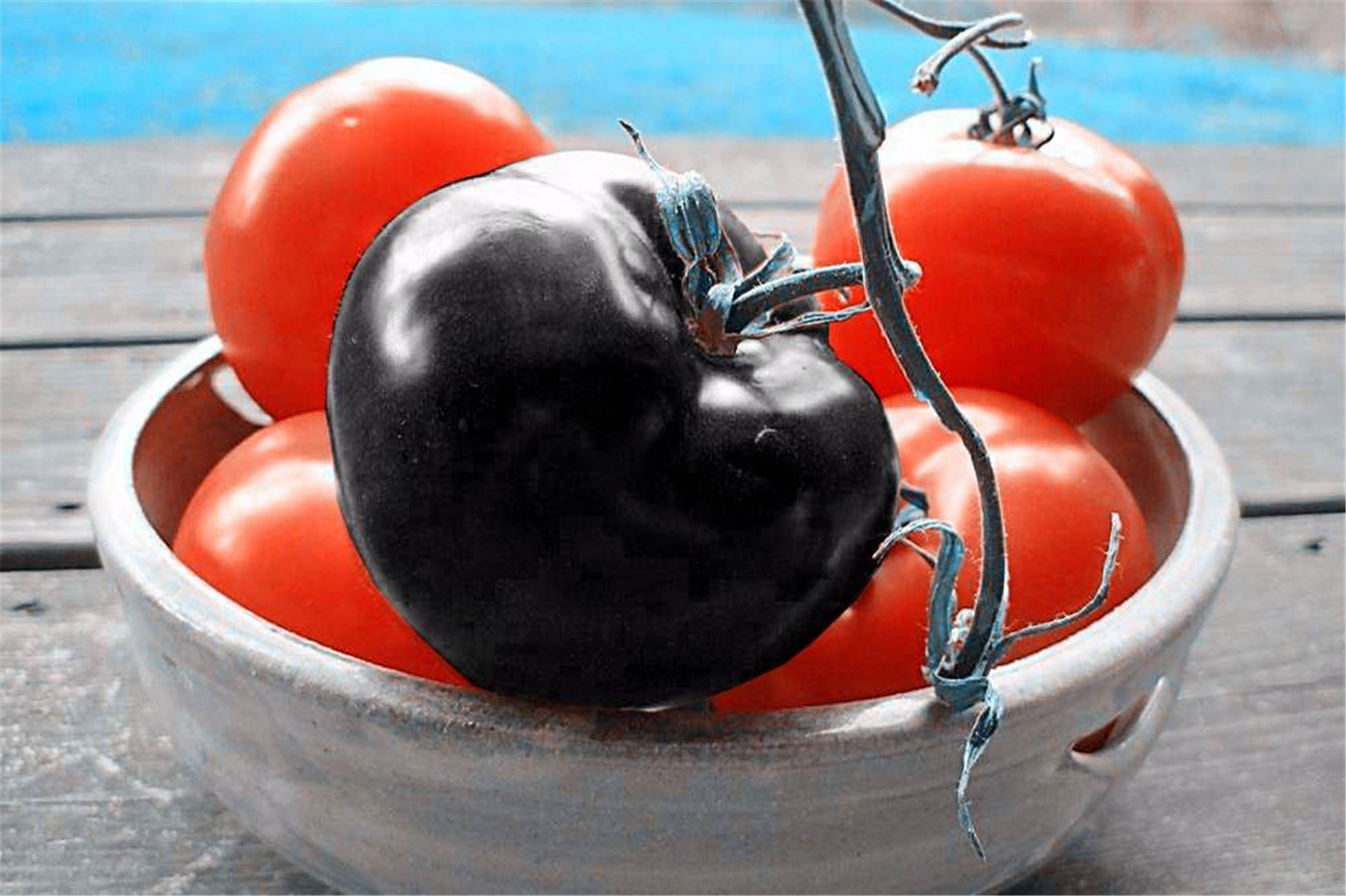  p>黑番茄(black tomato)原产南美洲,是番茄家族的珍品,因其果色和