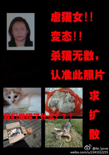 新北虐猫事件
