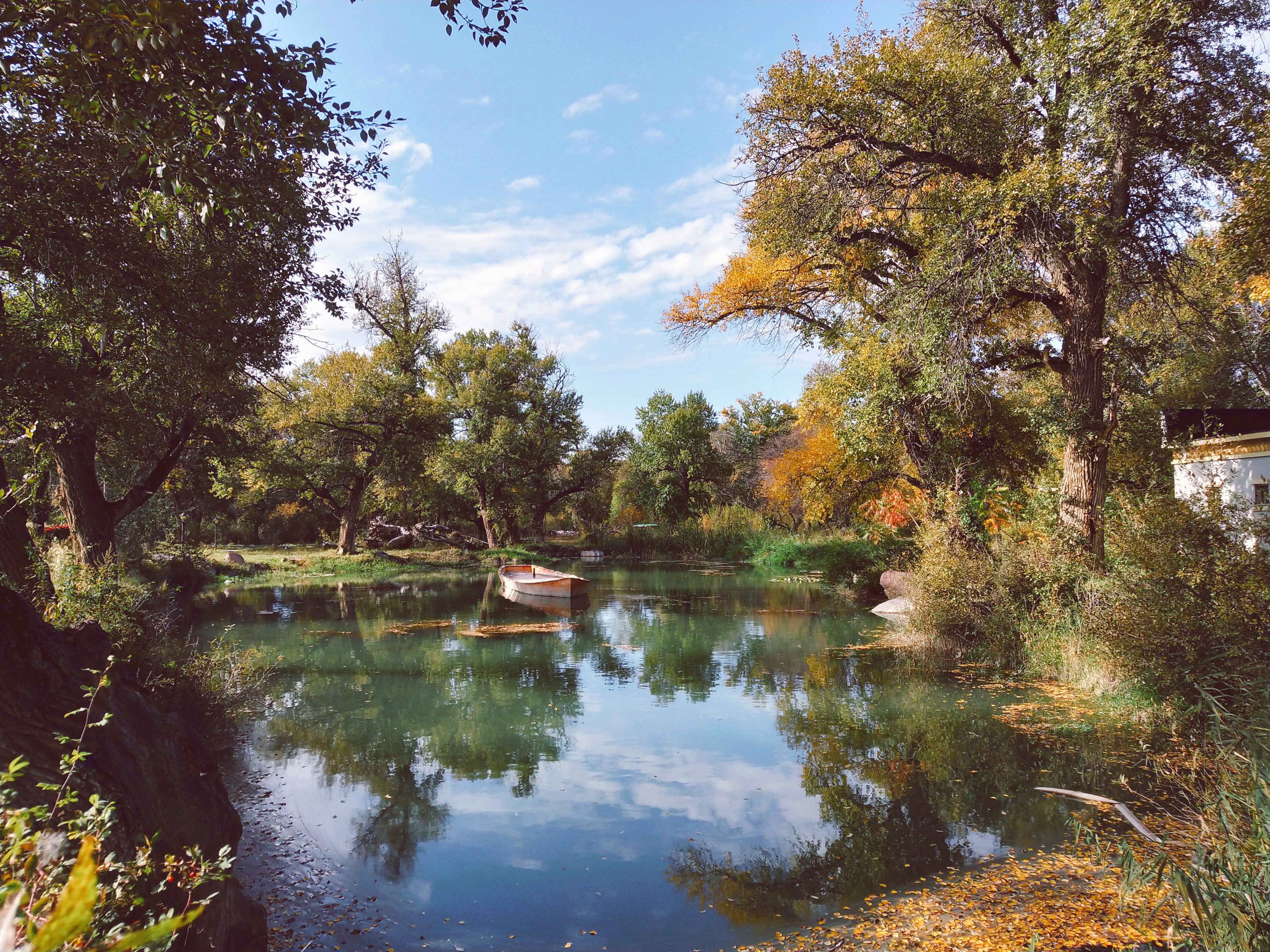 尼勒克县湿地古杨风景区
