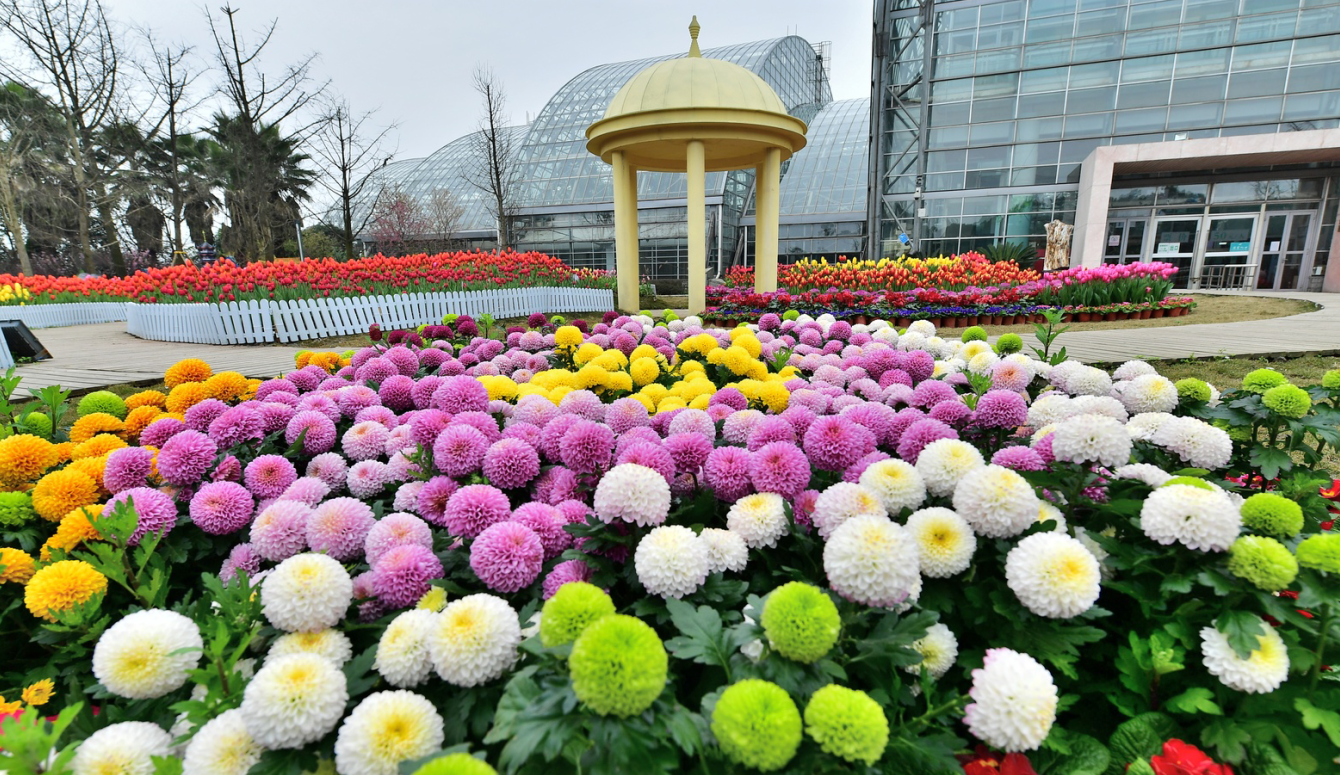 重庆市南山植物园