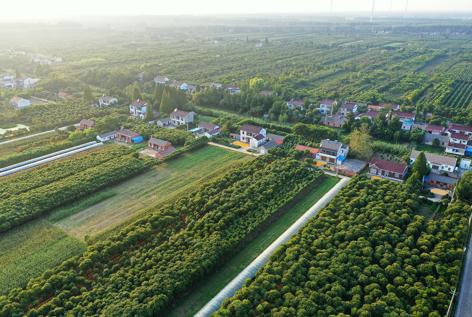  p>三仓镇,隶属于江苏省东台市,是 a target="_blank" href="/item