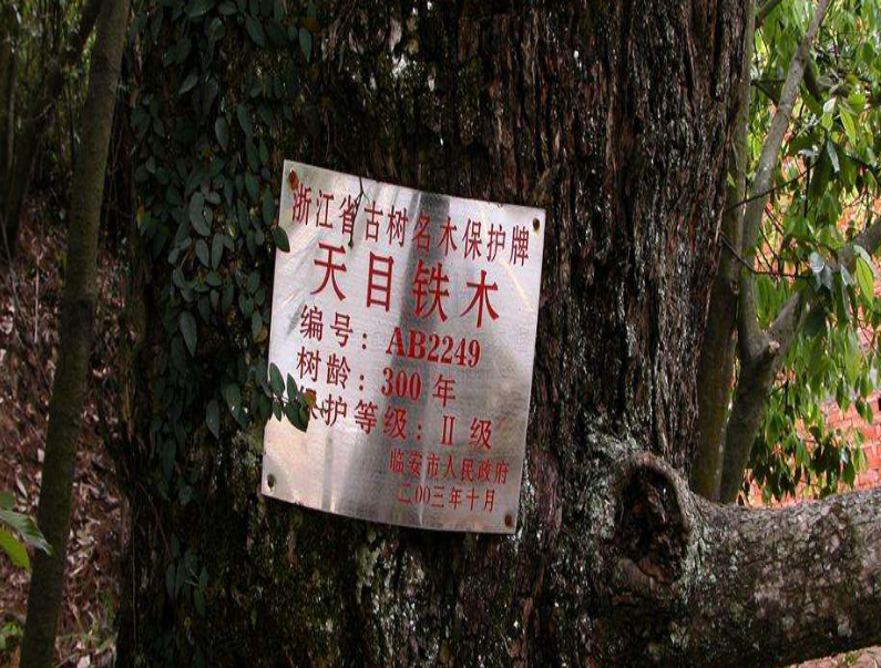 铁木：被历史铭记的地球独生子_百科TA说