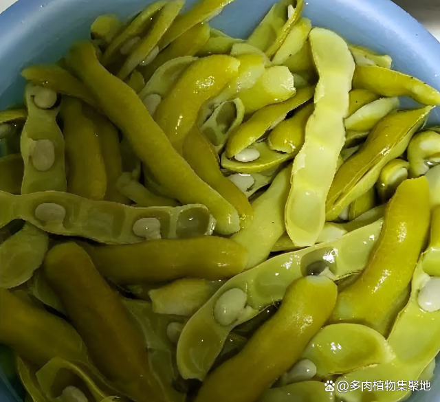 毒性强，常被铲除，俗称“狗儿豆”，如今珍贵，不允许再破坏了！_百科TA说