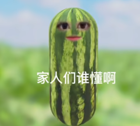 家人们谁懂啊