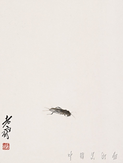 蝼蛄