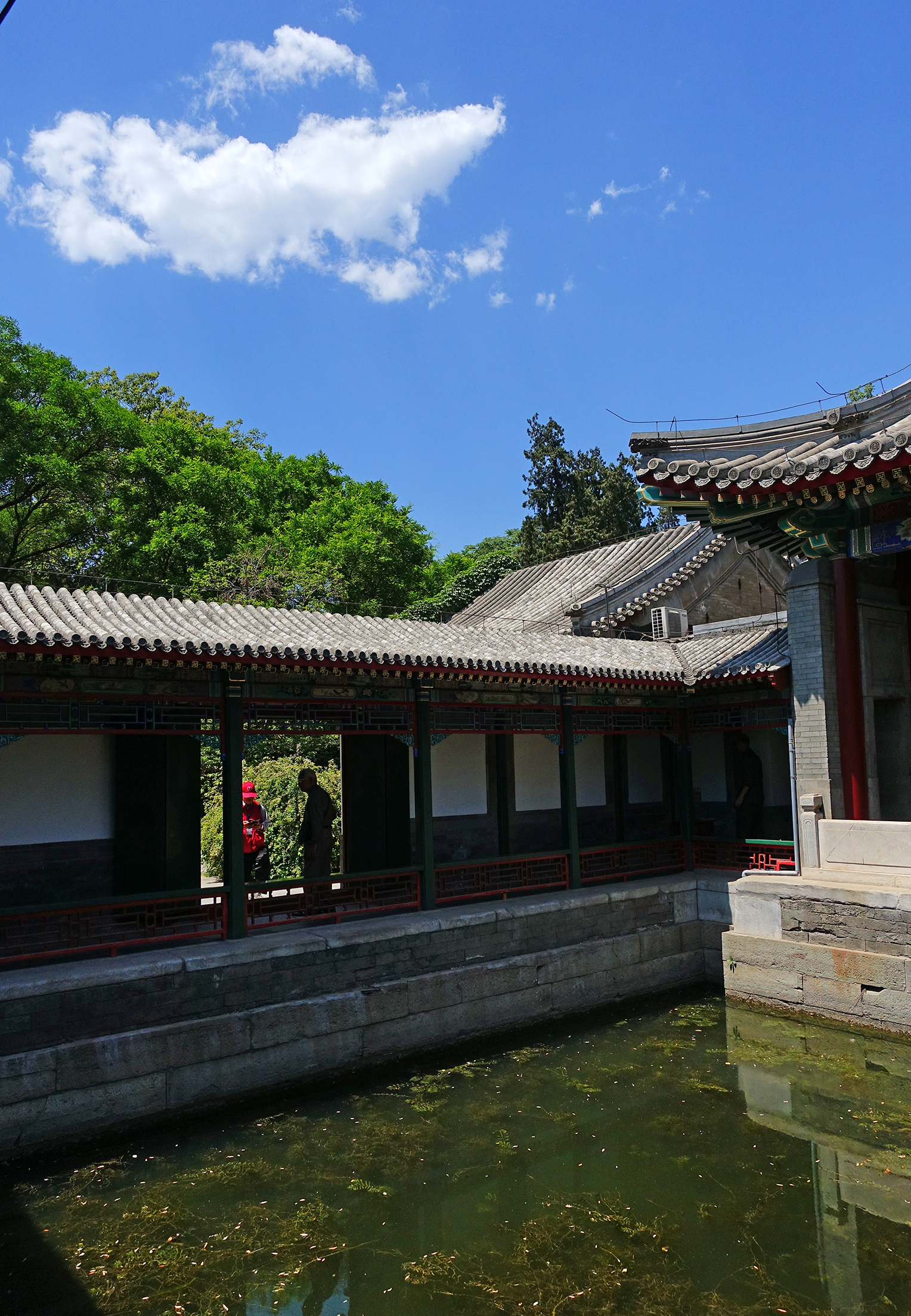  p data-id="gnwgg75jir">西苑三海,位于北京皇城之西,由北海,中海