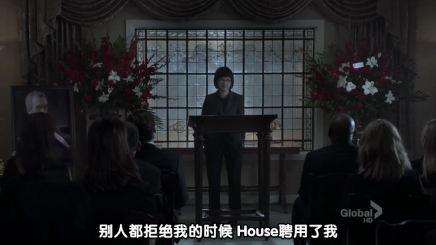  p>《豪斯医生》由 a href="#">大卫·萧尔 /a>创作和制片的剧情悬疑