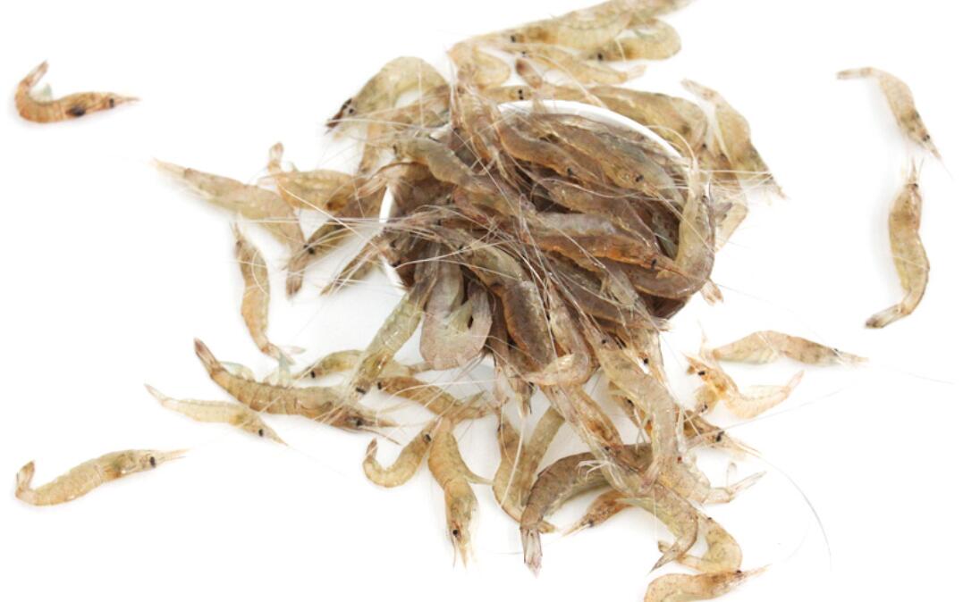  p data-id="tixeccqddi5o">河虾是十足目长臂虾科沼虾属动物,学名为