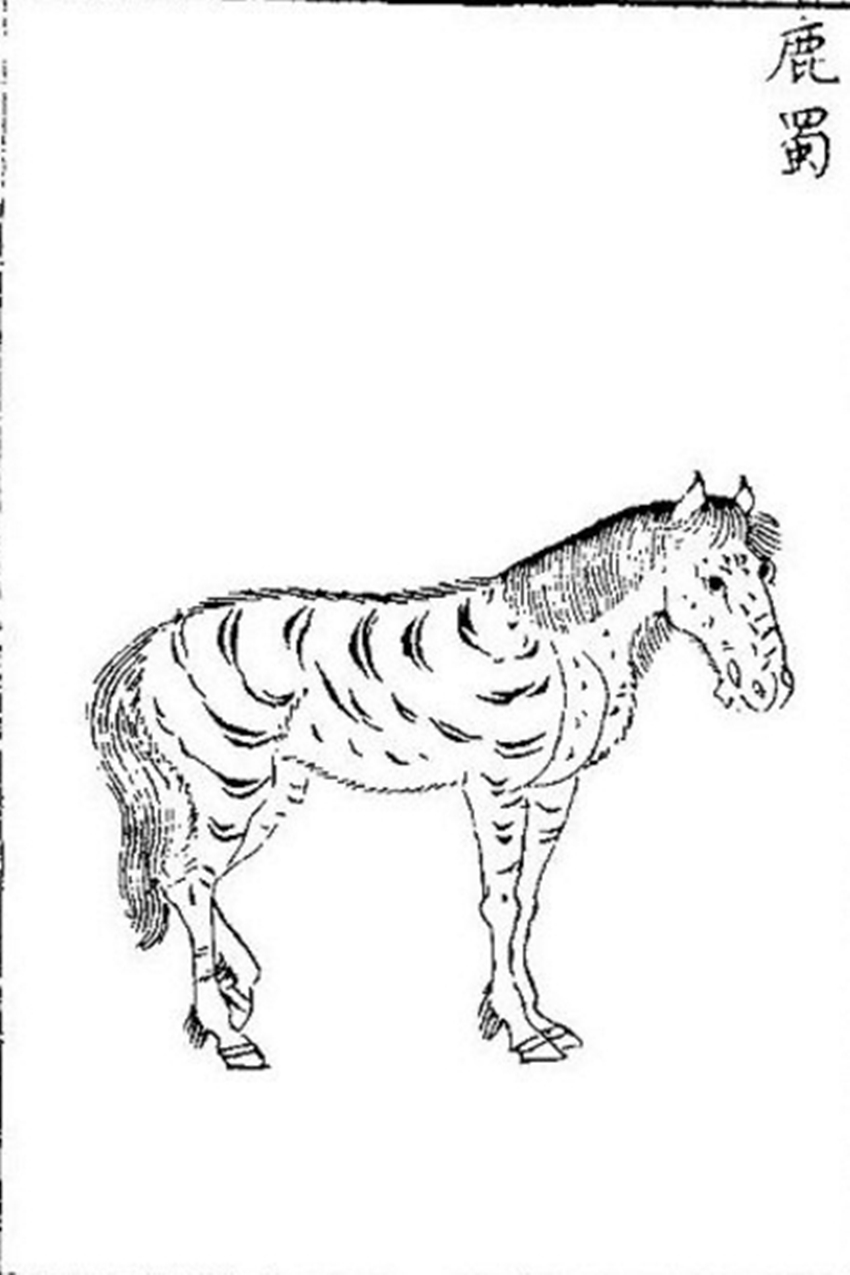 《 a target="_blank" href="/item/山海经·南山经/19831181" data