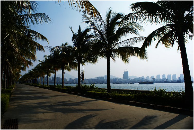  p>椰梦长廊是环三亚湾修建的一条著名的海滨风景大道,有" a target="