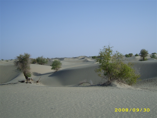  p>塔里木大学( i>tarim university /i>),简称"塔大",位于新疆维吾尔