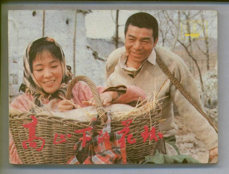 《高山下的花环》