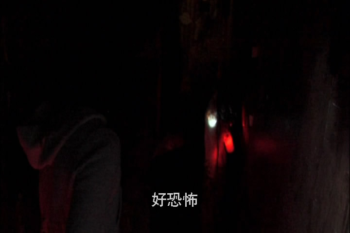 鬼屋hauntedhouse(2004)