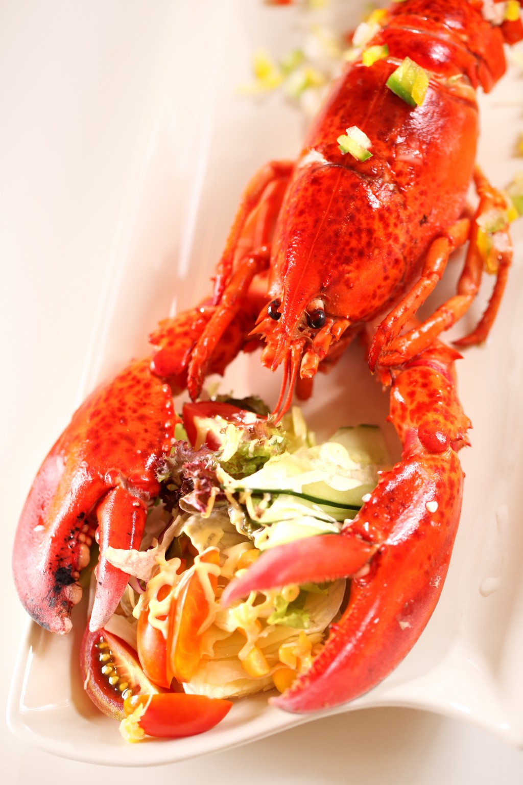 缅因龙虾