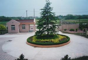 盐仓学校