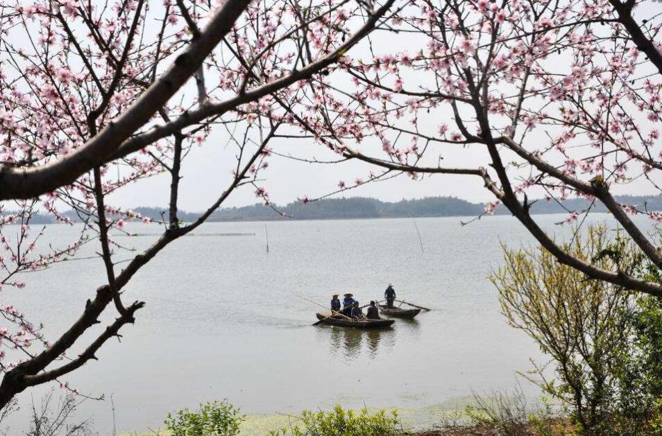 1xvhep4">桃花山风景区位于湖北石首市城区以东26公里,与湖南华容 a