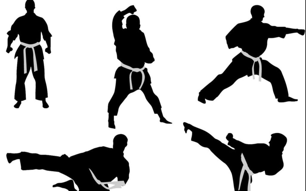  p>松涛馆流是将冲绳唐手( a href="#" data-lemmaid="53861">空手道 