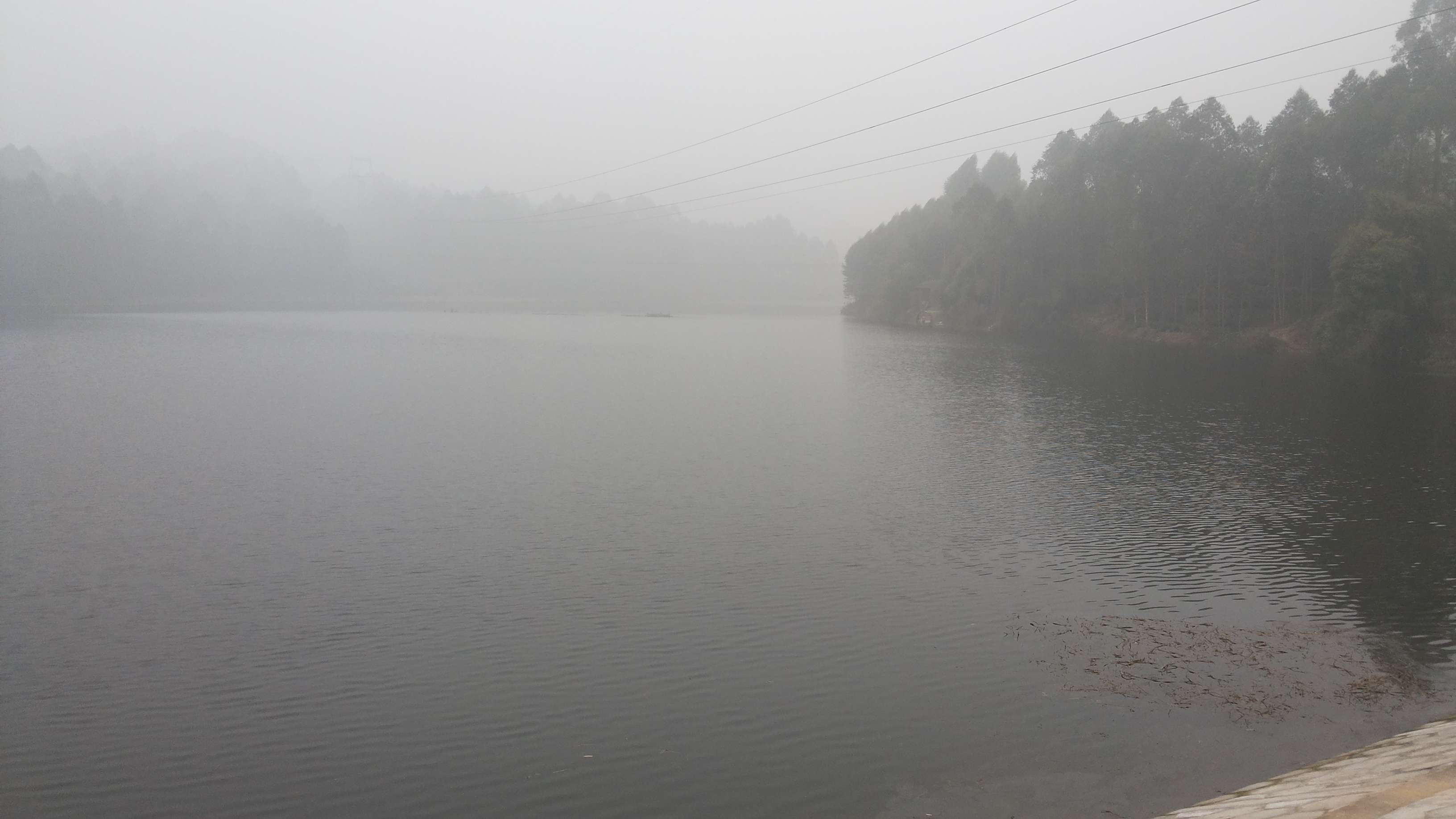  p>菜沟水库位于原四川省眉山市青神县罗波乡西坝村九组,后因行政区划