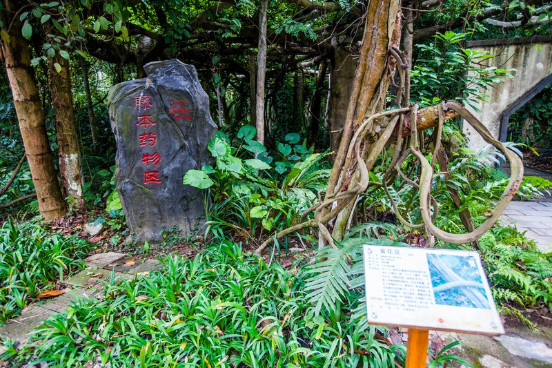  p>广西药用植物园位于 a target="_blank" href="/item/广西壮族自治