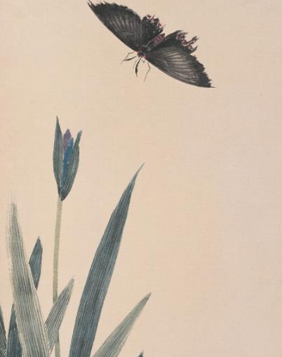  p>《鸢尾墨蝶》是1920年齐白石创作的纸本水墨设色画. /p>