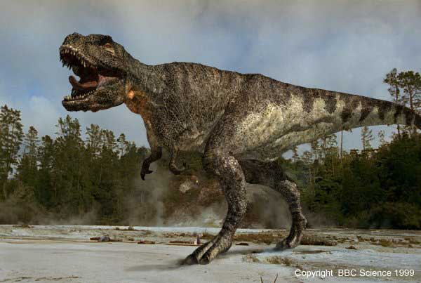  p>恐龙(英文名:dinosaur),是指三角龙,现代鸟类和梁龙最近的共同祖先