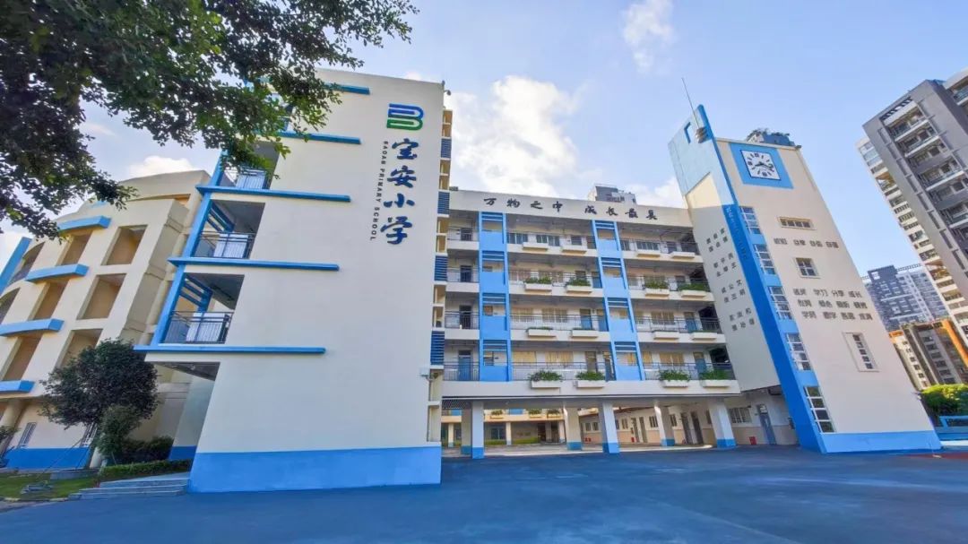 宝安小学(集团)