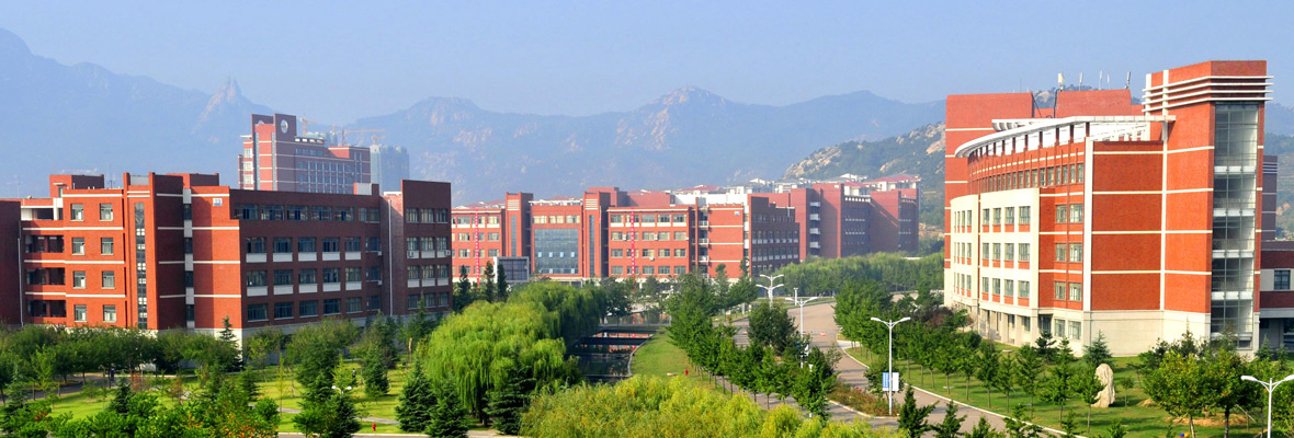 山东科技大学