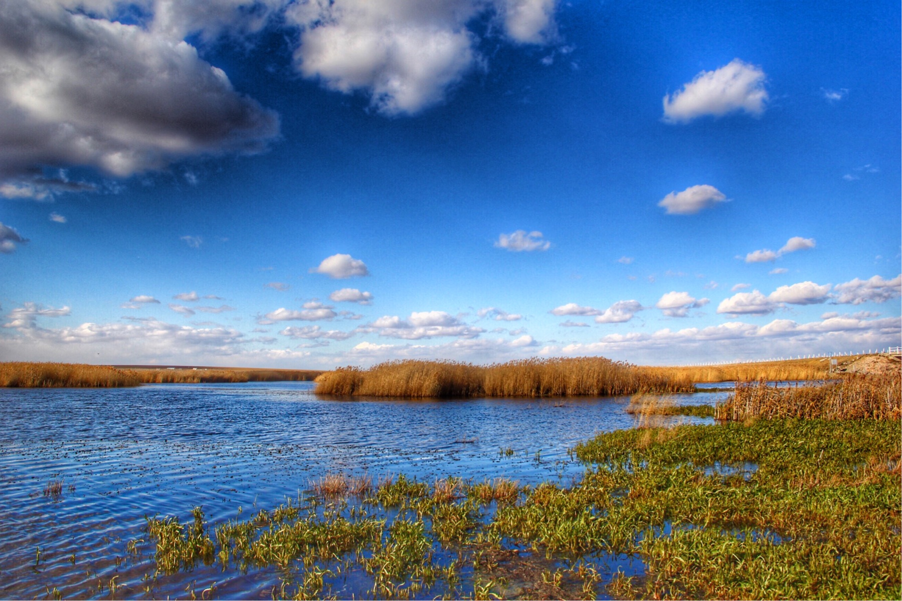内蒙古辉河国家级自然保护区