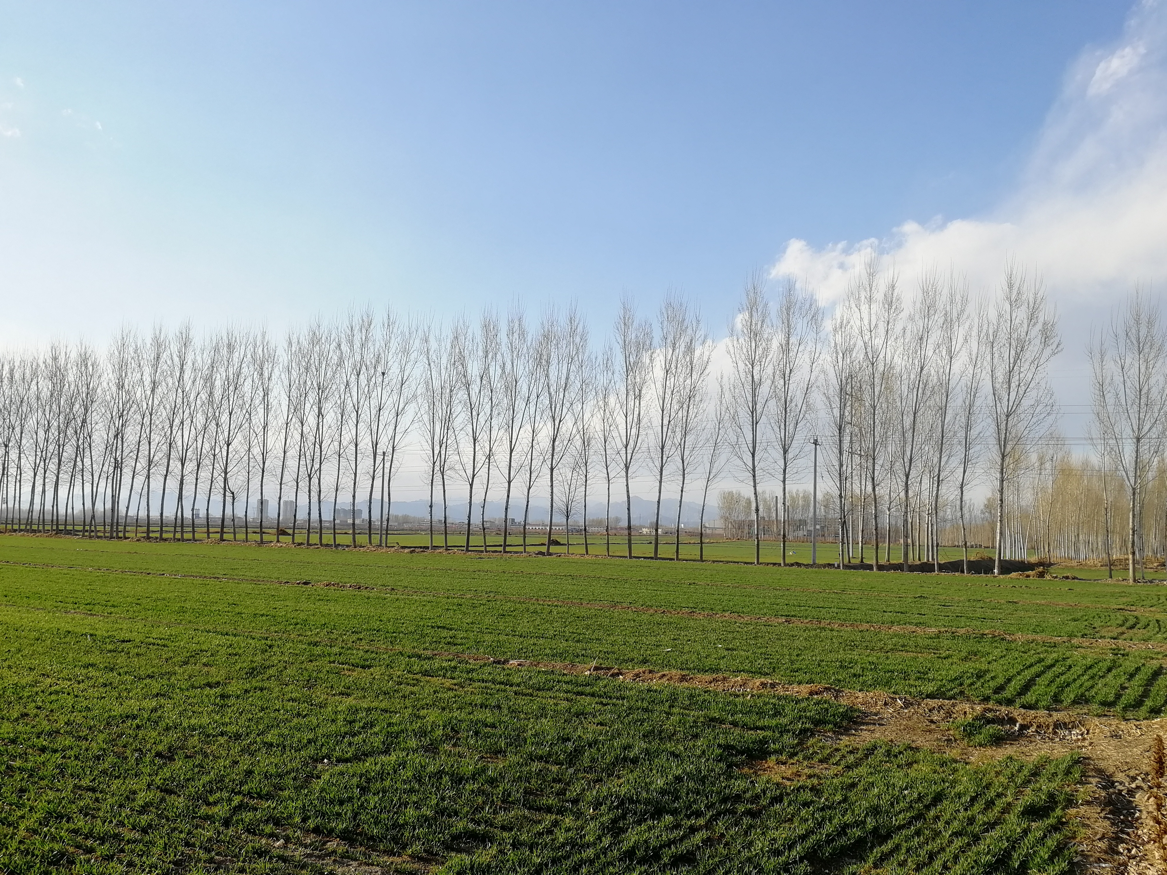  p data-id="gns0kvkoo8">田野,汉语词语,读音:tián yě,意思指田地