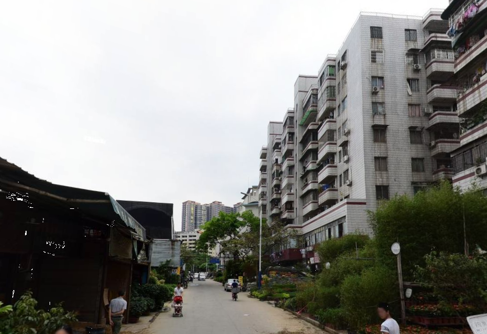  p data-id="go0ixob0kb">石围塘街道,隶属于 a target="_blank" href