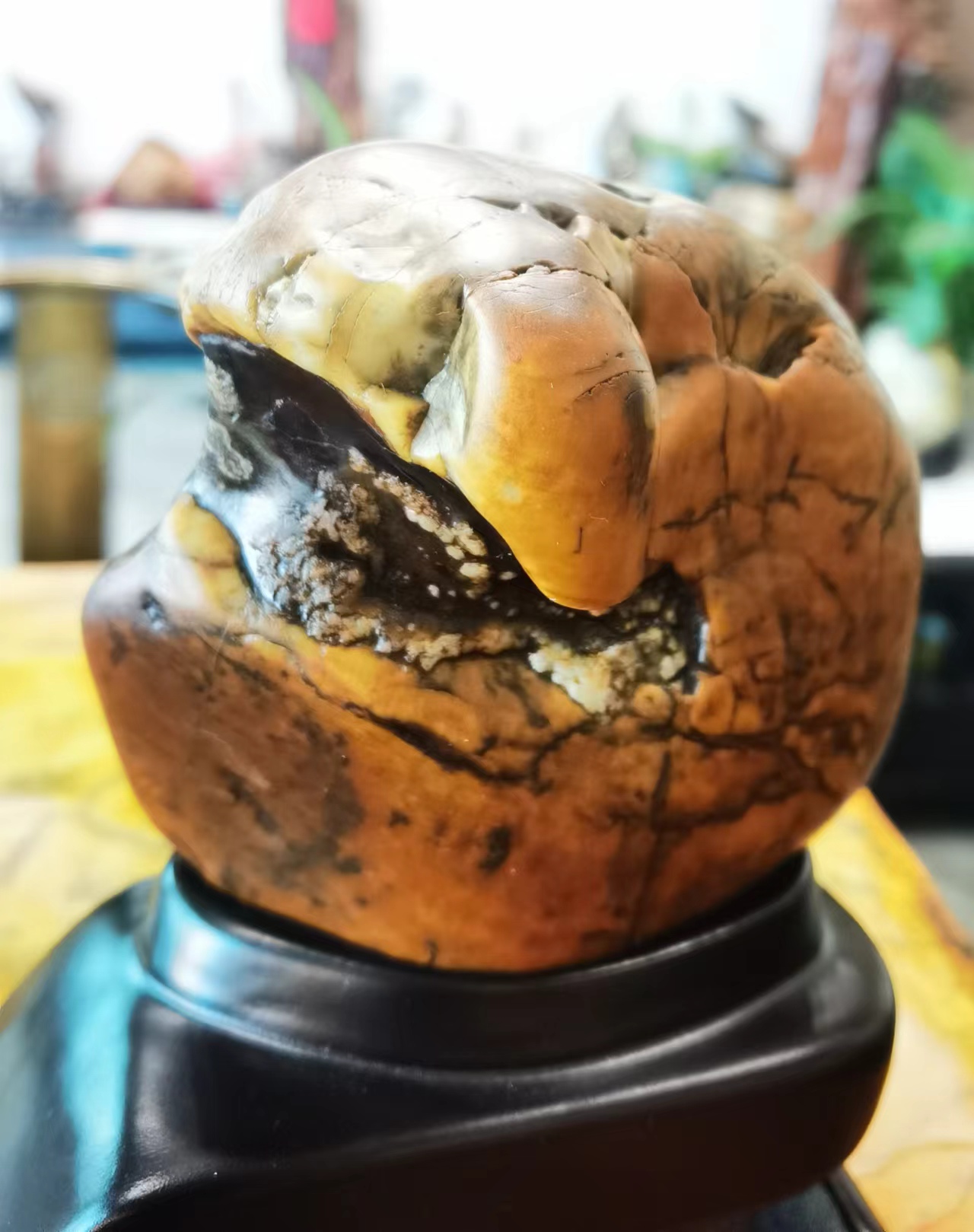 大化石,又称彩玉石