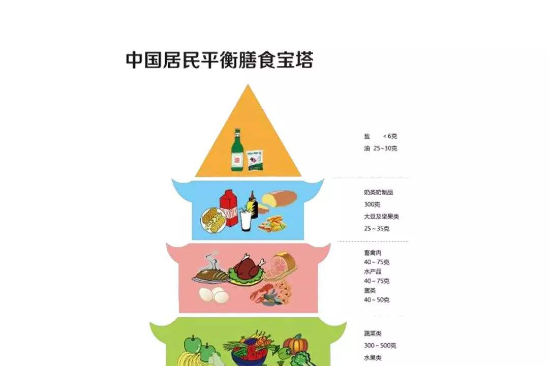 营养金字塔