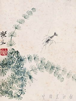 水草小虾