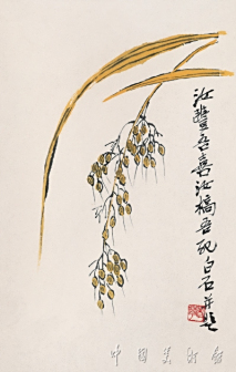 稻谷