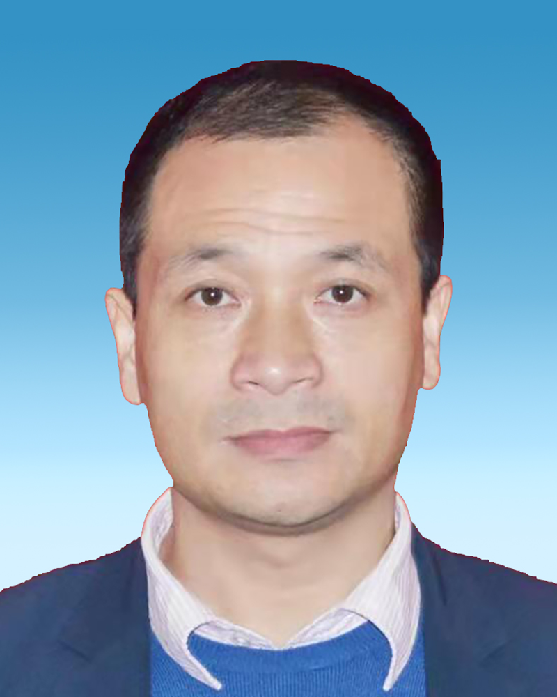 现任湖北省随州市随县城市管理执法局党组书记,局长