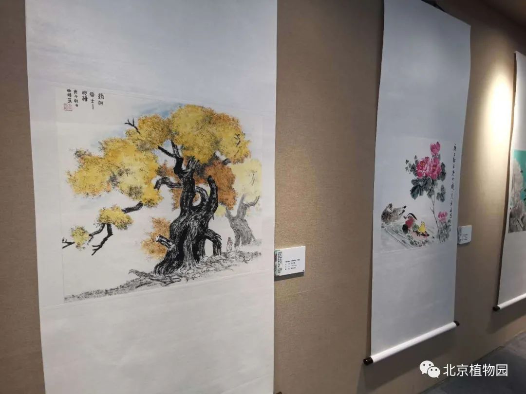 北京植物园举办迎金秋名家书画展_百科TA说