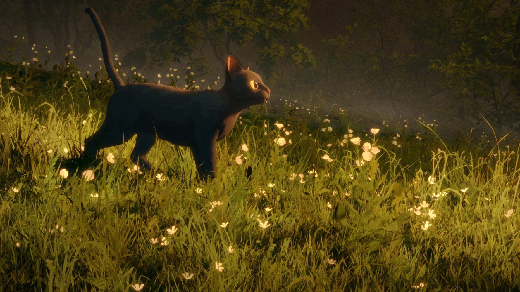 猫猫的奇幻漂流_百度百科