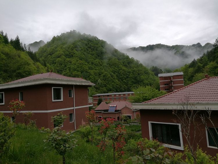  p>东安镇,隶属于重庆市城口县,地处 a href="#" data-lemmaid="