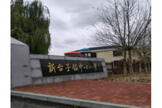 铁岭县新台子镇中心小学