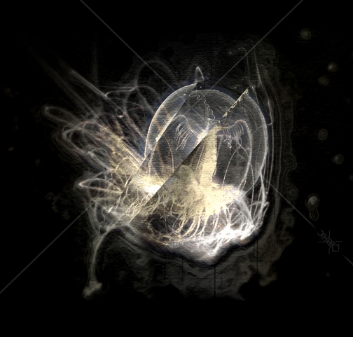  p>灯塔水母(学名: i>turritopsis nutricula /i>):是一种小型 a