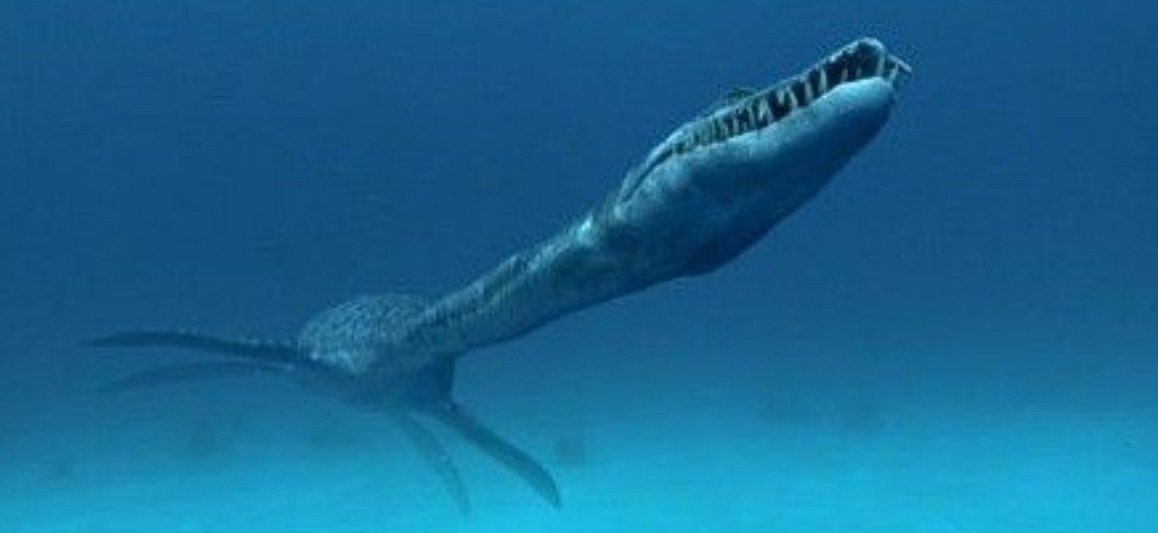  p>薄片龙是晚期 a href="#" data-lemmaid="7554264">蛇颈龙类 /a>的