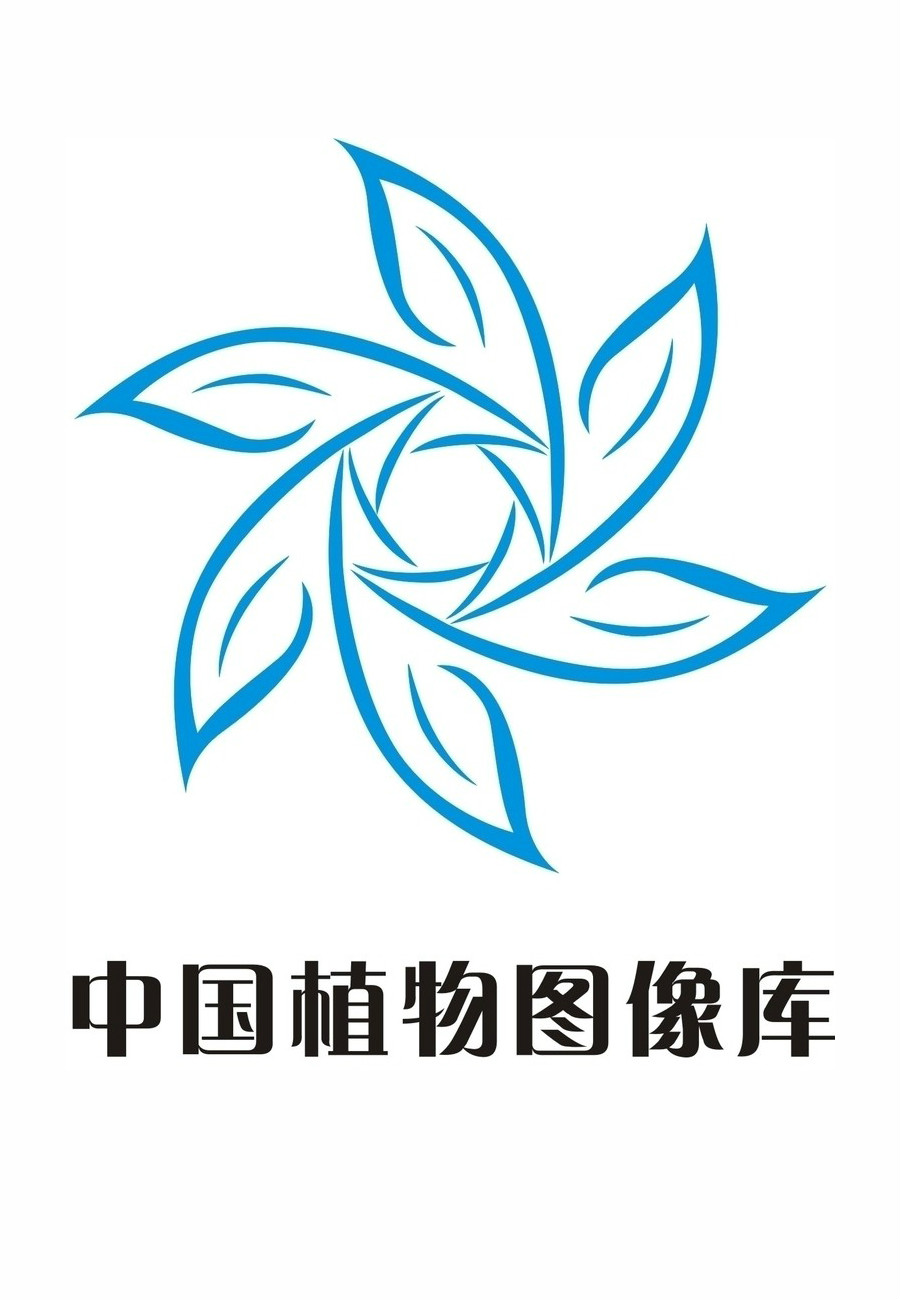  p>中国植物图像库,2008年3月在国家科技平台项目资助下, a href="#">