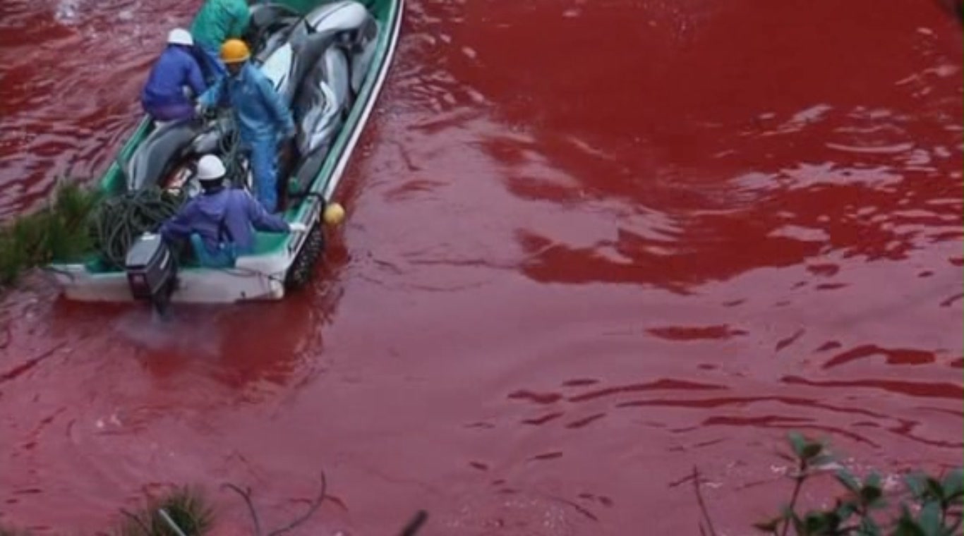  p>《海豚湾》是一部拍摄于2009年的纪录片,由 a href="#" data-lemma