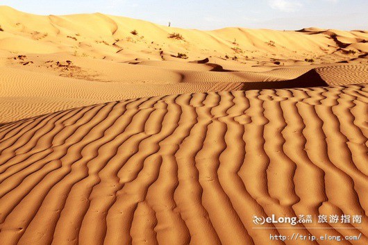 非洲撒哈拉大沙漠