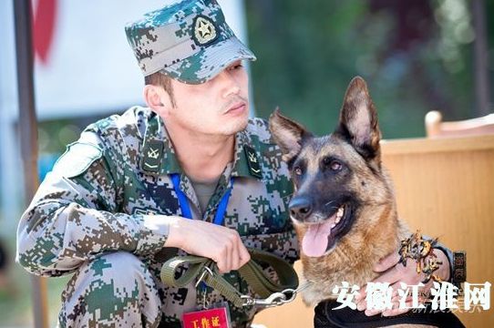 《 a target="_blank" href="/item/神犬奇兵/3353317" data-lemmaid=