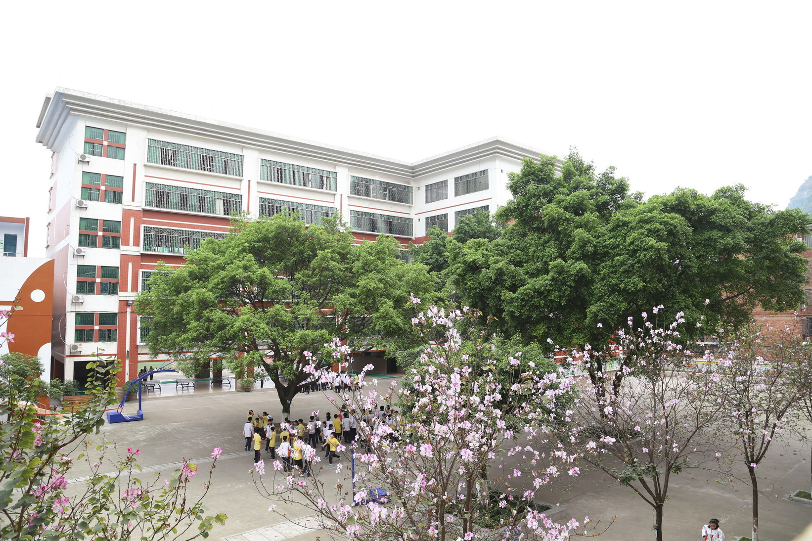 柳州市铁五中学