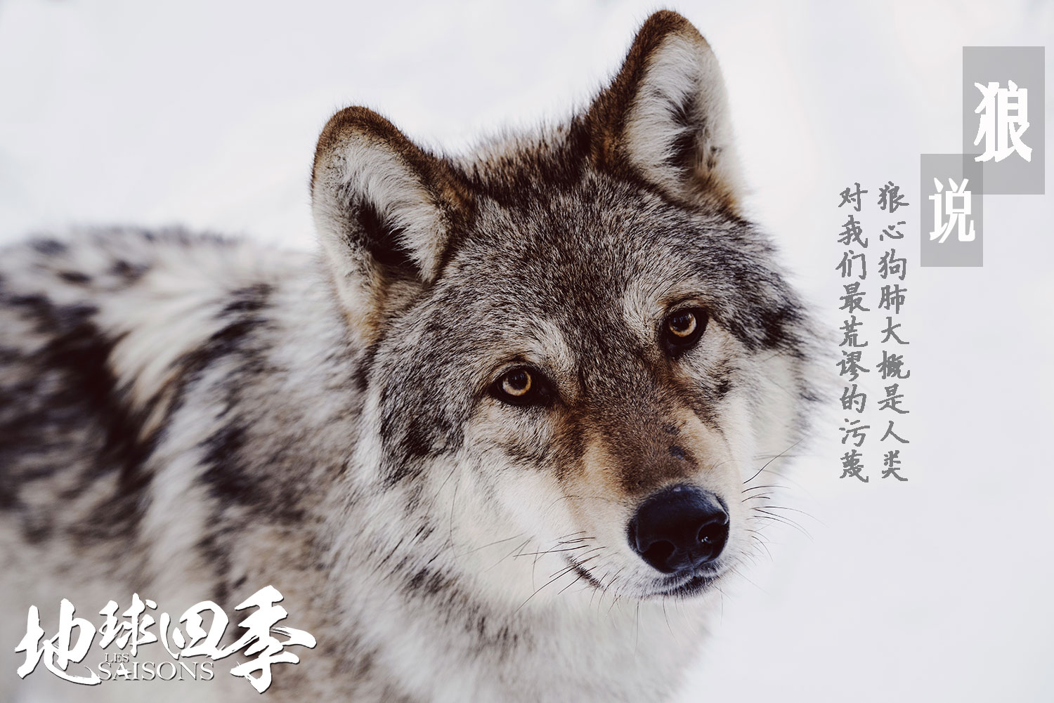  p>《地球四季》是由法国盖拉特电影公司制作的纪录片,由法国导演雅克