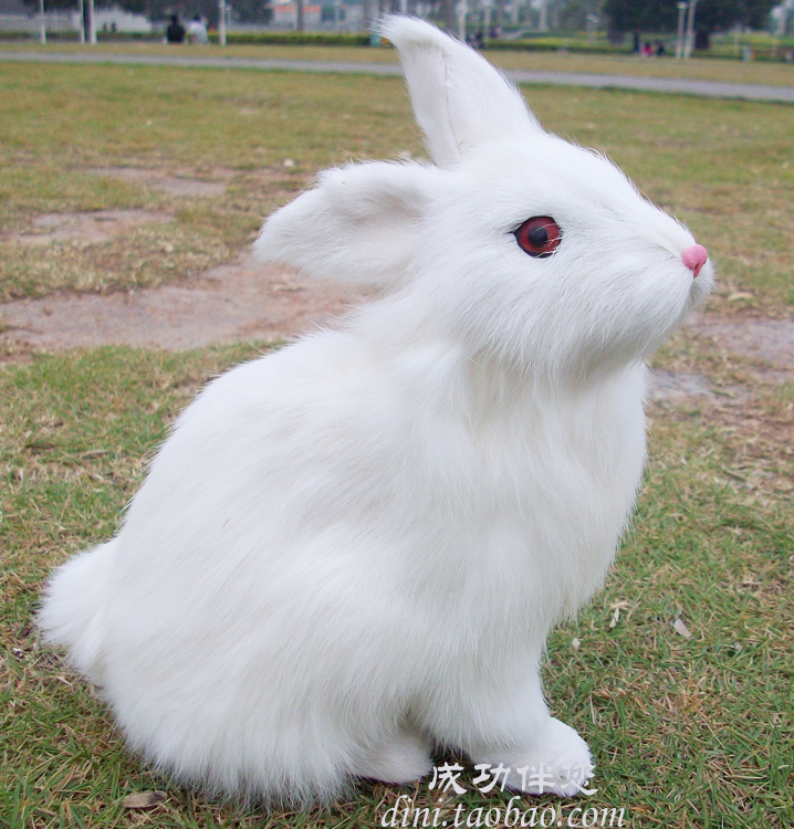  p data-id="gnb25vw6t6">仿真动物利用动物皮毛或特殊材质按照实物