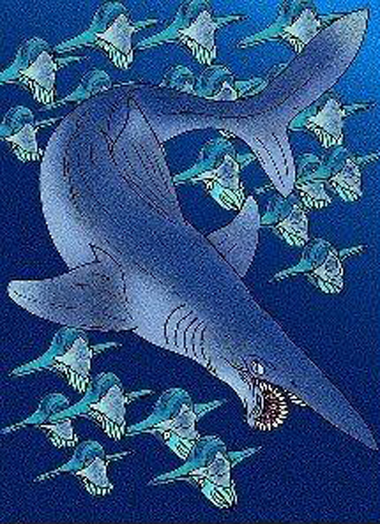  p>旋齿鲨(helicoprion),helico源自希腊语"螺旋状",prion则源自"锯"