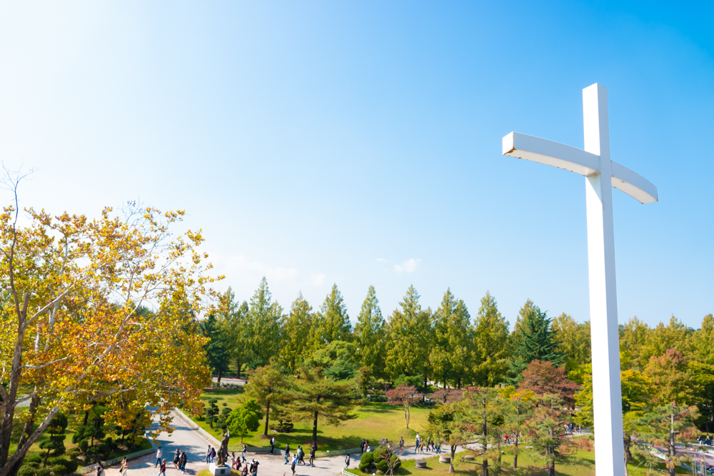  p>韩南大学(               ,hannam university),创办于1956年,建立